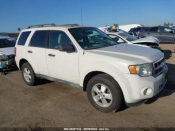  Salvage Ford Escape