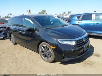  Salvage Honda Odyssey