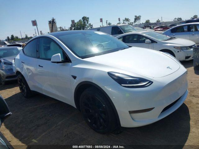  Salvage Tesla Model Y