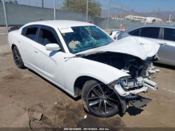  Salvage Dodge Charger