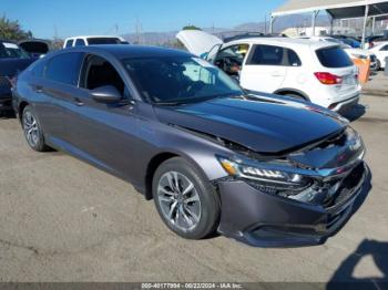  Salvage Honda Accord