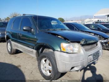  Salvage Ford Escape