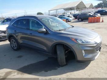  Salvage Ford Escape