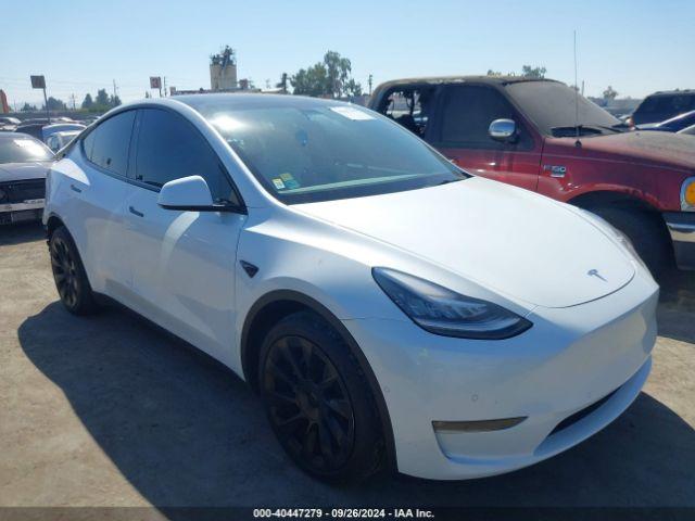  Salvage Tesla Model Y