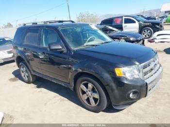  Salvage Ford Escape