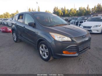  Salvage Ford Escape