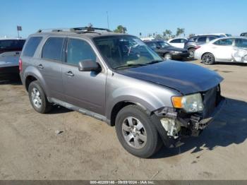  Salvage Ford Escape