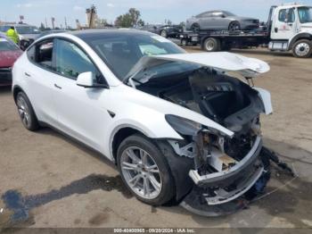  Salvage Tesla Model Y