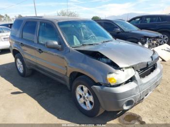  Salvage Ford Escape