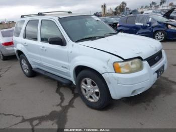  Salvage Ford Escape