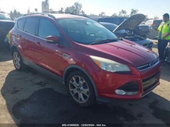  Salvage Ford Escape