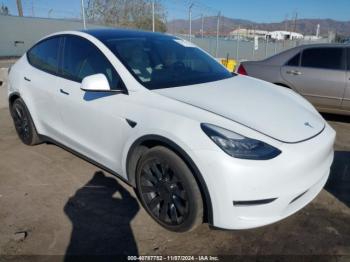  Salvage Tesla Model Y