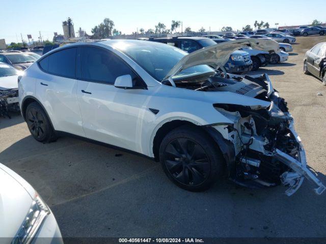  Salvage Tesla Model Y