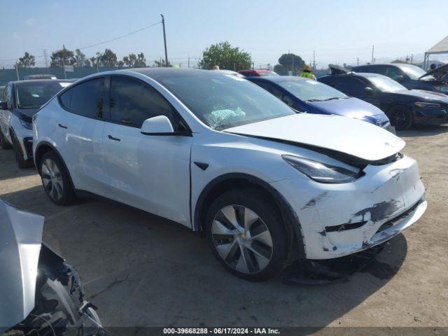  Salvage Tesla Model Y