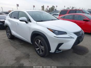  Salvage Lexus NX