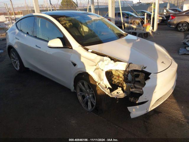  Salvage Tesla Model Y