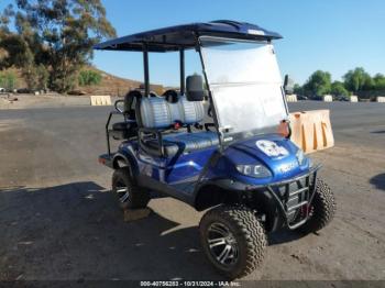  Salvage Icon Golf Cart