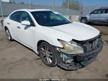  Salvage Nissan Maxima