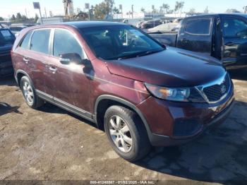  Salvage Kia Sorento