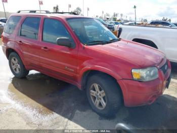  Salvage Ford Escape