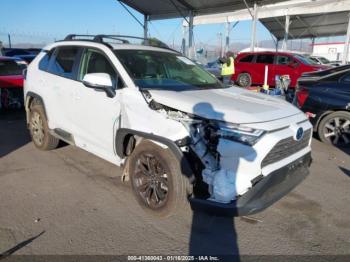  Salvage Toyota RAV4