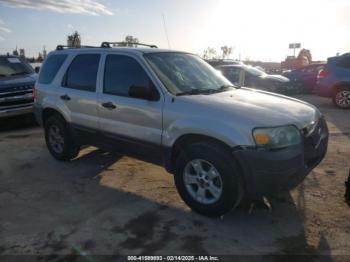  Salvage Ford Escape