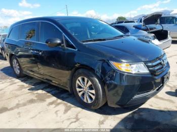  Salvage Honda Odyssey