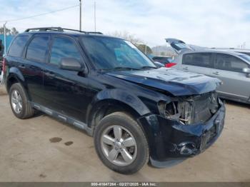  Salvage Ford Escape