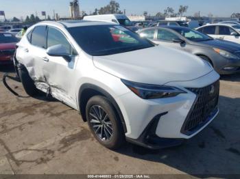  Salvage Lexus NX