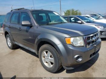  Salvage Ford Escape
