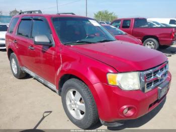  Salvage Ford Escape