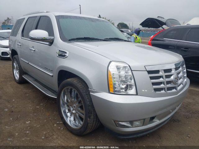  Salvage Cadillac Escalade