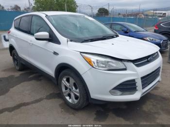  Salvage Ford Escape