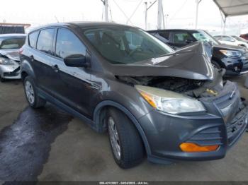  Salvage Ford Escape