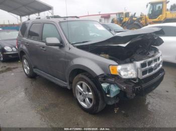 Salvage Ford Escape