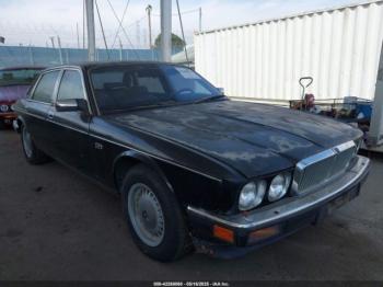 Salvage Jaguar Vandenplas