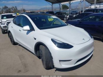  Salvage Tesla Model Y