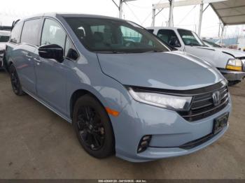  Salvage Honda Odyssey