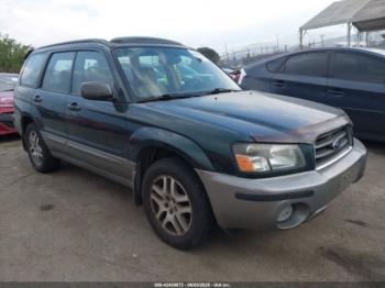  Salvage Subaru Forester