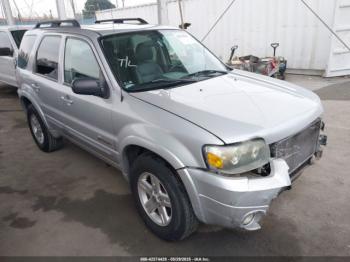  Salvage Ford Escape