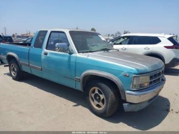  Salvage Dodge Dakota