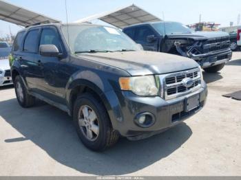  Salvage Ford Escape