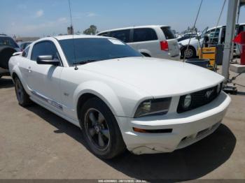  Salvage Ford Mustang
