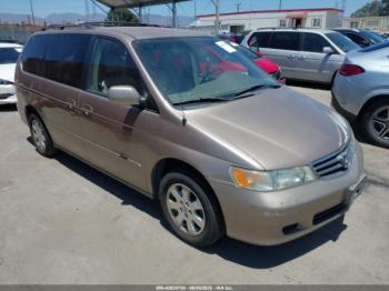  Salvage Honda Odyssey