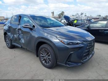  Salvage Lexus NX