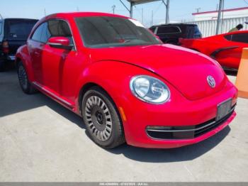  Salvage Volkswagen Beetle