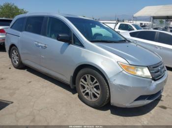  Salvage Honda Odyssey