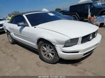  Salvage Ford Mustang