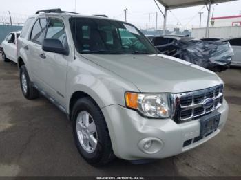  Salvage Ford Escape