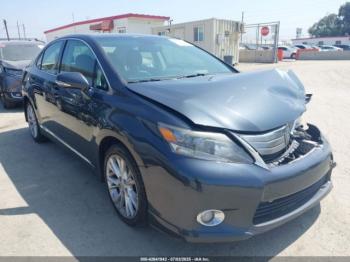  Salvage Lexus HS 250h